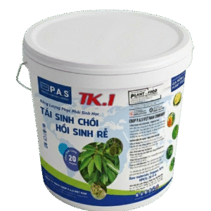 Tái sinh chồi, Hồi sinh Rễ TK.1